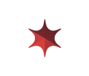 Шатёр Звезда (Диаметр 6 м) Схема 4